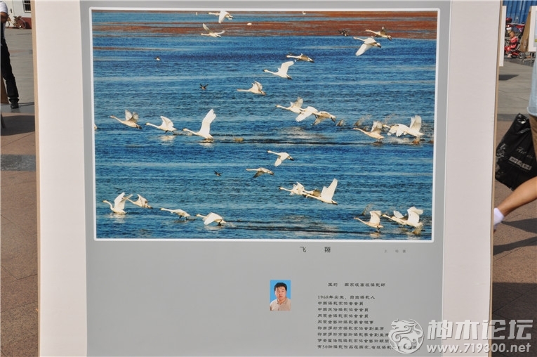 神木县文化馆