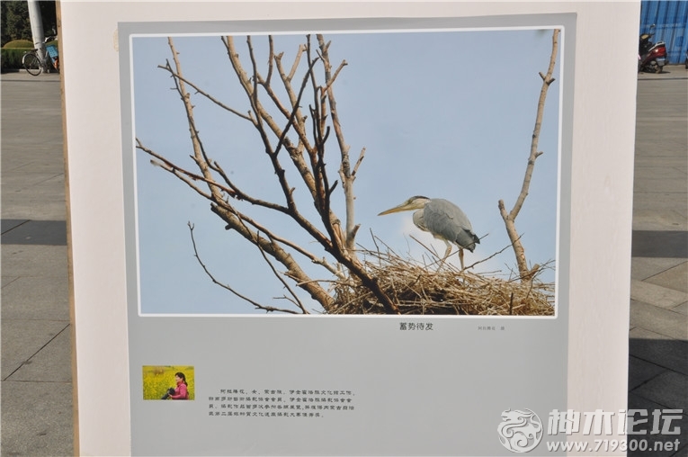 神木县文化馆